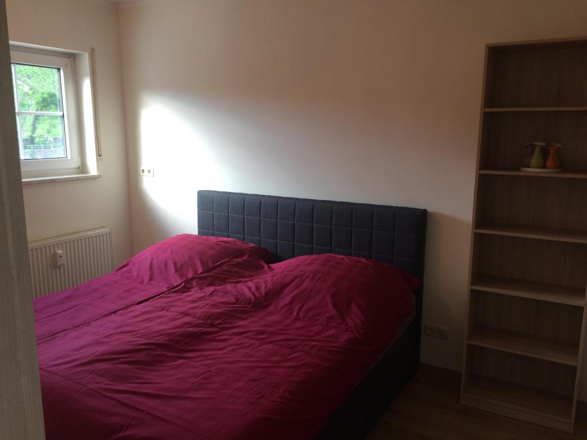 Haus Am Weinberg Apartment Рюдесхайм ам Рейн Екстериор снимка