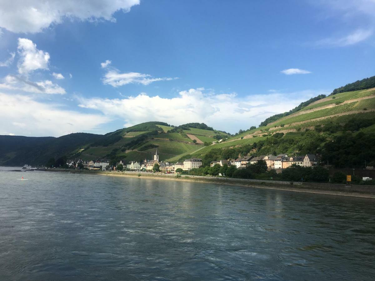 Haus Am Weinberg Apartment Рюдесхайм ам Рейн Екстериор снимка